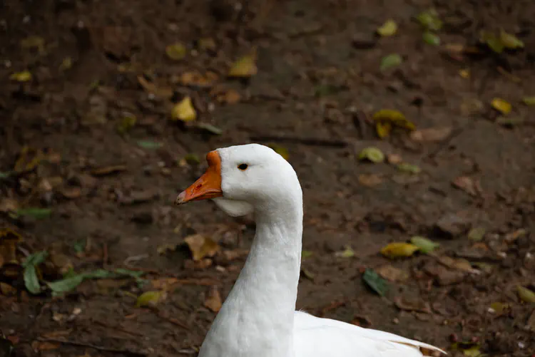 DSC_1728.jpg