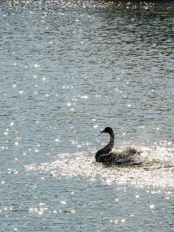 DSC_1794.jpg